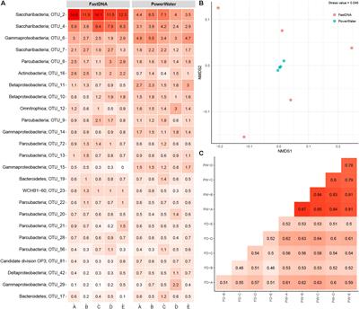 Investigation of Detection Limits and the Influence of DNA Extraction and Primer Choice on the Observed Microbial Communities in Drinking Water Samples Using 16S rRNA Gene Amplicon Sequencing